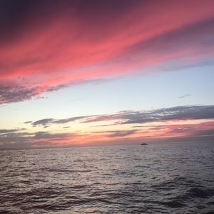 Meet your Posher, Valerie